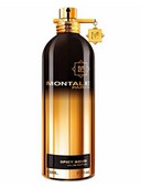   Montale Spicy Aoud, 100 , , 